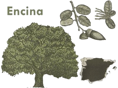 20091206101552-20091101113155-encina-.gif