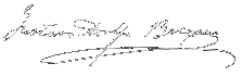 20101113181937-20101113113622-firma0gab.gif