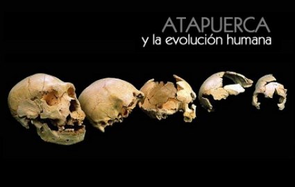 20101226120039-imag-1041-atapuerca-y-la-evolucion-humana-800x600-.jpg